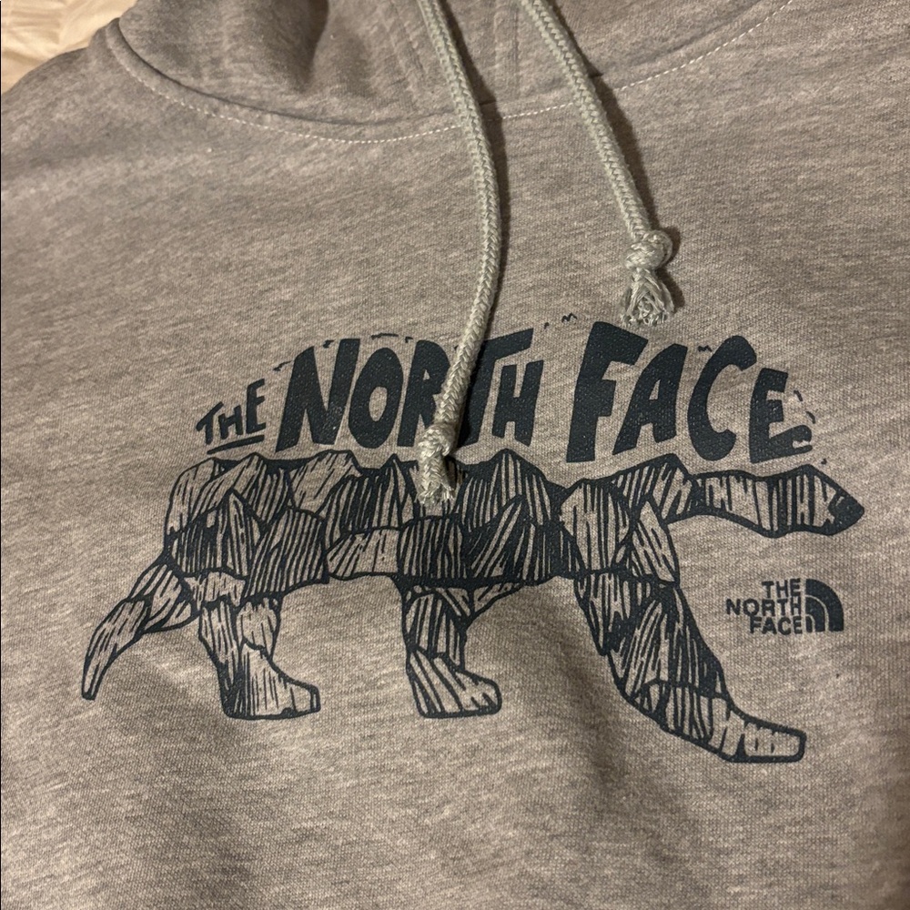 North Face hooded sweatshirt: Men’s small - Picture 2 of 5